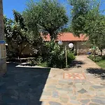 το πετρινο / The Petrino 斯陶帕