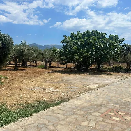 το πετρινο / The Petrino