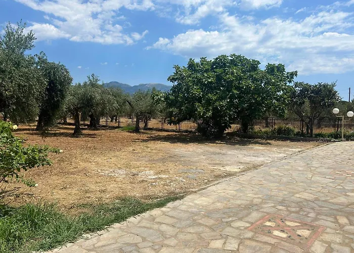 το πετρινο / The Petrino